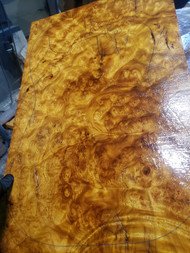 Gold Camphor burl one piece top - Premium Exotic Timber